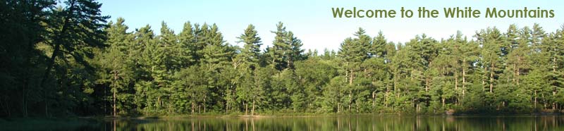 Welcome to your Vacation Home